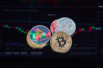 国际顶尖USDC钱包在哪找？稳定低手续费USDC钱包推荐